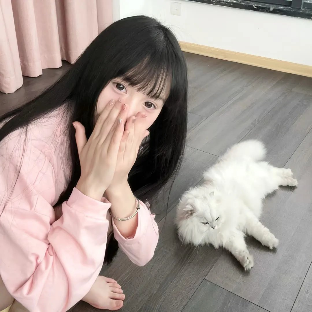 超级仓鼠2